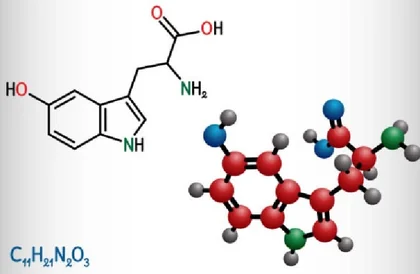 5-HTP molecular structure — direct serotonin precursor in the Yu Sleep sleep formula