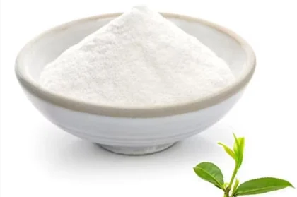 L-theanine powder with green tea leaves — amino acid supporting calm without sedation in Yu Sleep